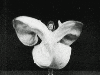 vfxapp dance mariposa vfxapp GIF