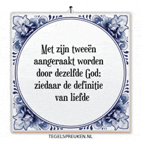 Humor Nl GIF by Tegelspreuken.nl