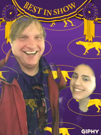 wkcdogshow GIF by Westminster Kennel Club