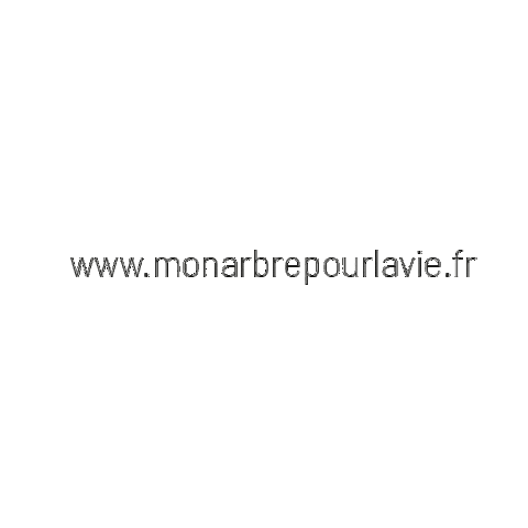 monarbrepourlavie giphyupload heart life coeur Sticker