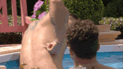 bbuk big brother reality tv bbuk big brother uk GIF