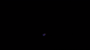 bug insect GIF by OERRR