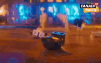 GIF by CANAL+