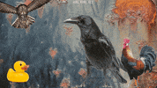 Owl Birds GIF by joelremygif