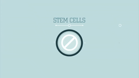 kerryanderson giphygifmaker GIF