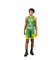 Basket Sticker by CB Alqazeres