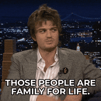 Steveharrington Djo GIF by The Tonight Show Starring Jimmy Fallon