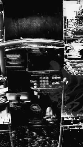 Empressiv3 giphycreatortest empressiv3 GIF