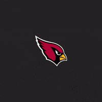 Red Sea Tackle GIF by Arizona Cardinals
