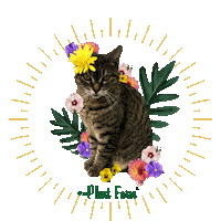 Cat Flowers Sticker by The Plant Farm