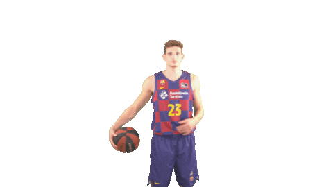Fc Barcelona Basketball Sticker by ACB