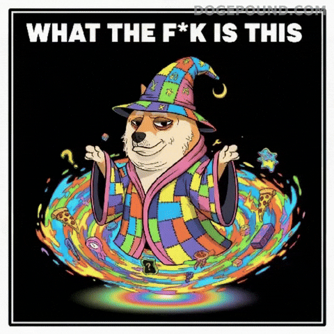 What Is This Omg GIF by Doge Pound