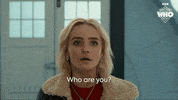 Who Are You Tardis GIF by Doctor Who