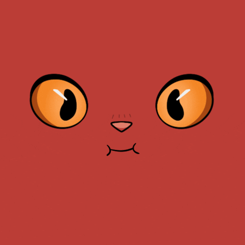 Close Up Love GIF by Kitaro World