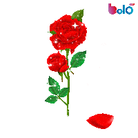 Heart Love Sticker by BOLO LIVE
