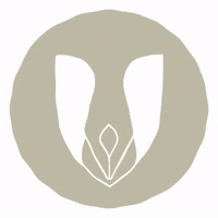 cartoriodebalsas maranhao balsas cartorio cartorios GIF