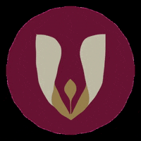 cartoriodebalsas maranhao balsas cartorio cartorios GIF