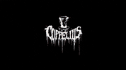 Happy New Year GIF by Coppelius