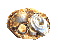 Hungry Ice Cream Sticker