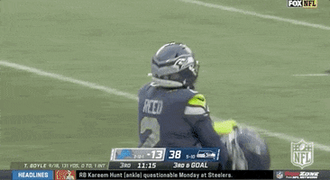 Seattle Seahawks Football GIF by NFL