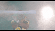 North Dakota State Bison GIF by NDSU Athletics
