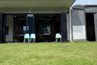 Dog Dji GIF