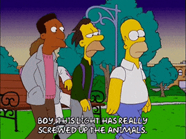 homer simpson GIF
