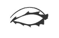 Logo Video Production Sticker by Full Vision Studio