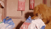 Sick Orangutan GIF by Hansh