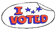 Voting Election Day Sticker by nina tsur