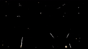Criminal Justice GIF by Applause Entertainment