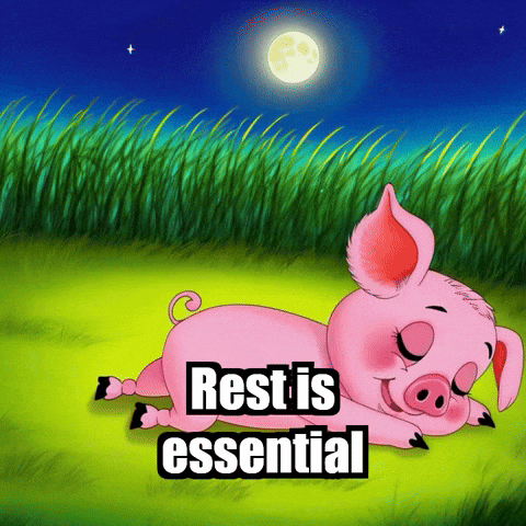 Pigasso Character GIF by The Pigasso