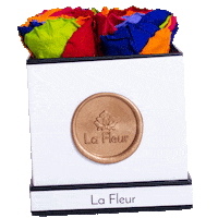 rainbow swag Sticker by La Fleur Bouquets