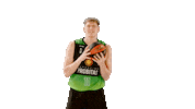 Liga Endesa Spinning Sticker by ACB