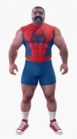 Spider Man GIF by Database數據