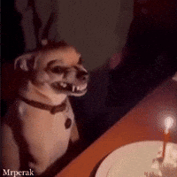 Excited Art GIF