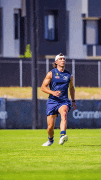 GIF by Adelaide Crows