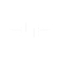 WingmanDiscs discgolf wingman wingmandiscs wingman disc golf Sticker