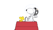 Happy Cartoon Sticker by Peanuts