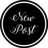 amydoakphotography family photography photographer buffalo Sticker