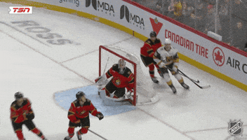 Happy Ottawa Senators GIF by NHL