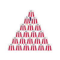 Cricket Hurricanes Sticker by KFC Australia