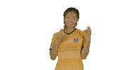 Houston Dash Sport Sticker by National Women's Soccer League