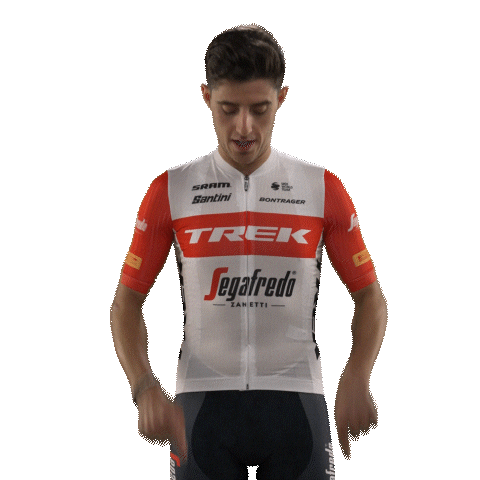 Trek Bikes Sport Sticker by Trek-Segafredo