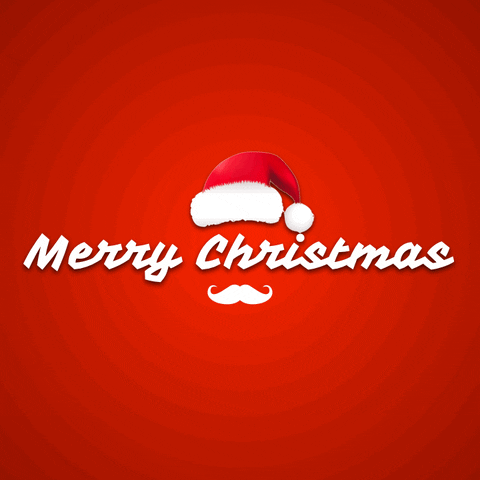 Merry Christmas GIF by Mister Fab