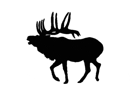 gnarlyhorn giphyupload deer hunting elk GIF