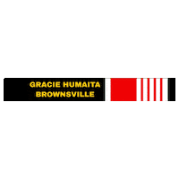 Bjj Jiujitsu Sticker by ghbrownsville