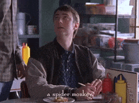 season 4 netflix GIF by Gilmore Girls 