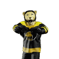 Hockey Hokej Sticker by Tipsport extraliga