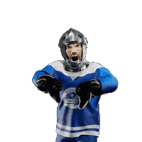 Hockey Hokej Sticker by Tipsport extraliga